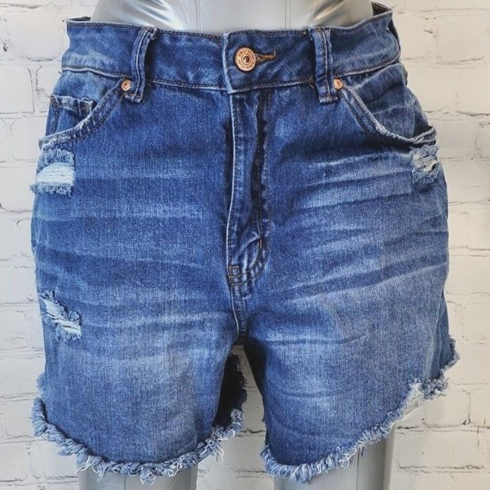 Rewash Vintage Reunion cutoff shorts